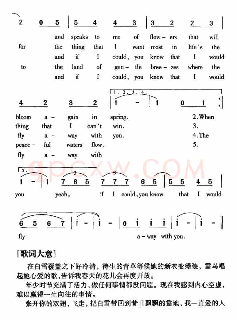 Snowbird 雪鸟