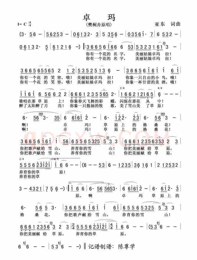 卓玛（樊桐舟演唱版）