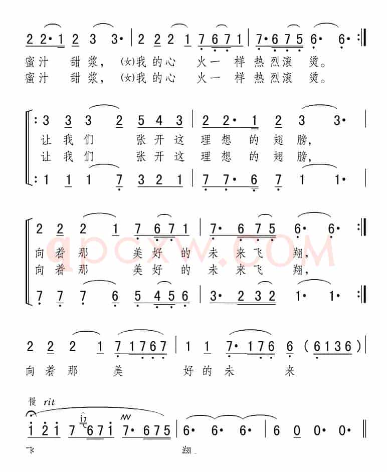 新月下的向往