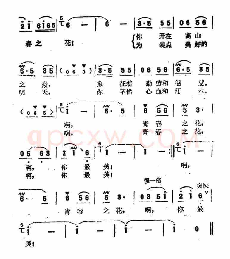 啊，青春之花（电视剧《青春之花》插曲）