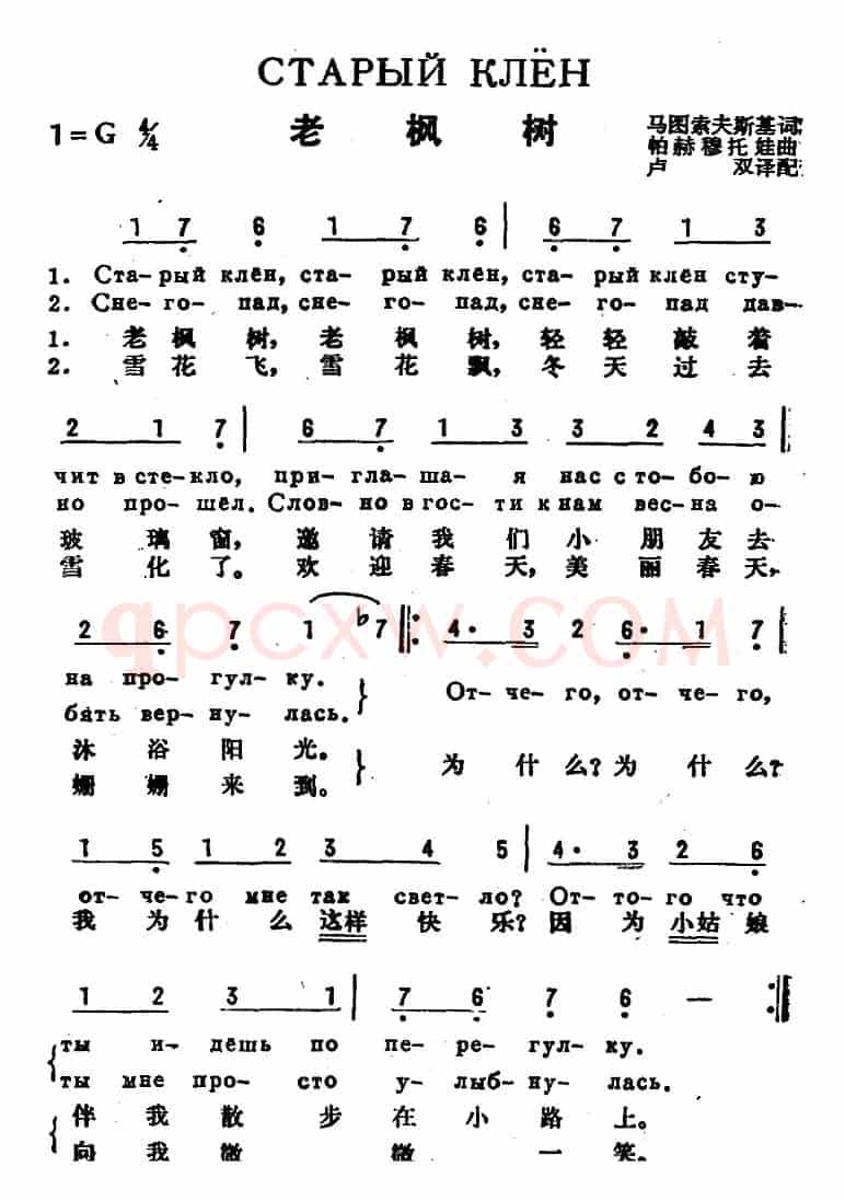 [前苏联]老枫树（中俄文对照）