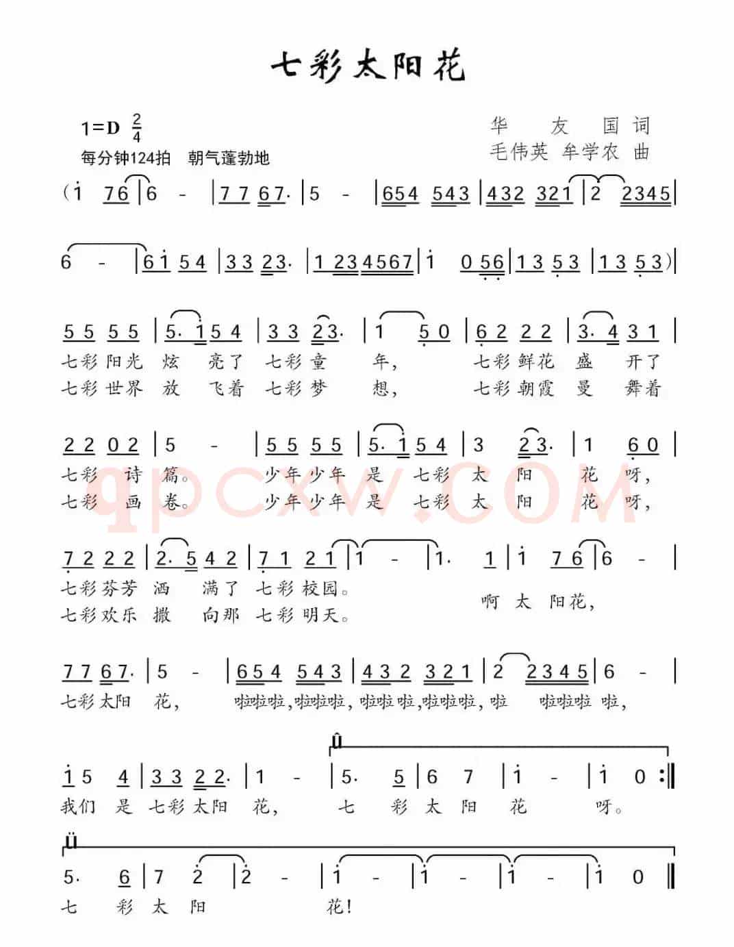 七彩太阳花