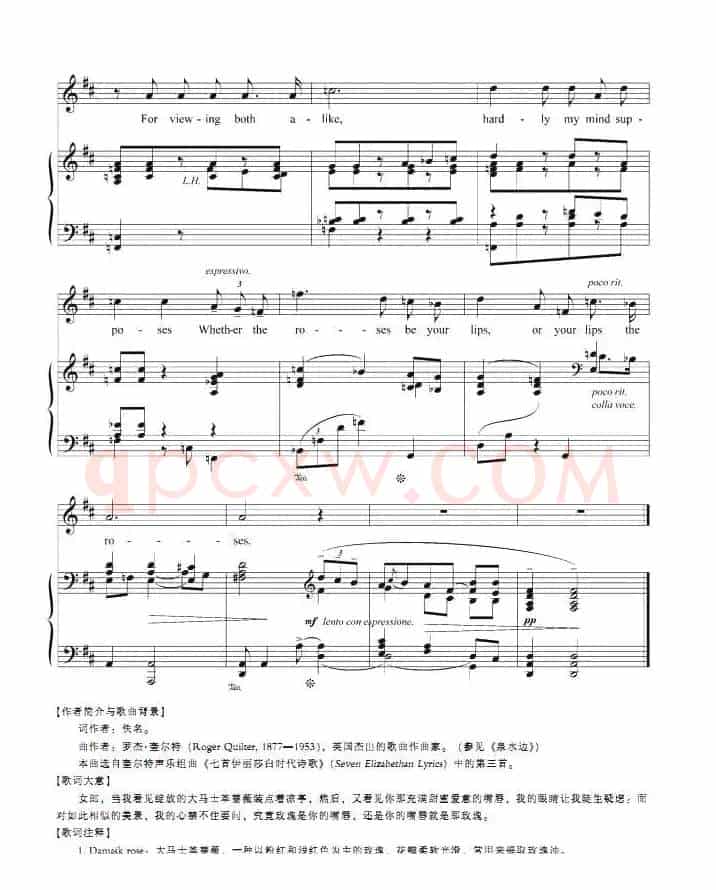 大马士革蔷薇（正谱 [英]）