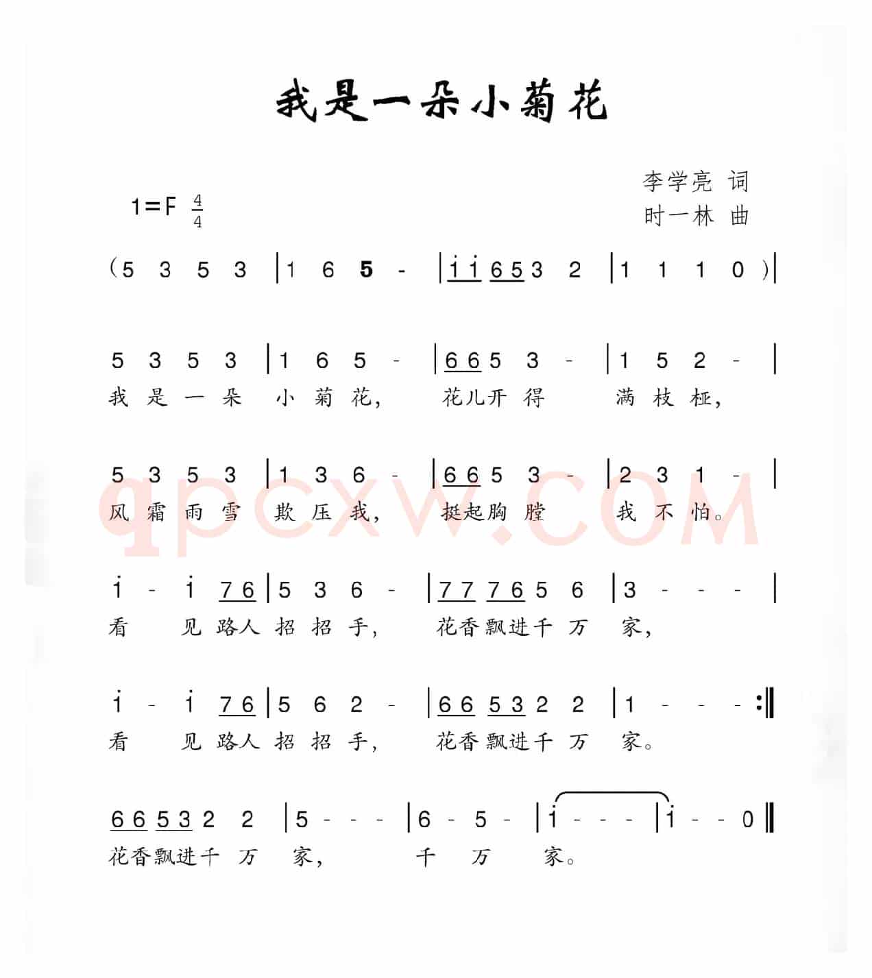我是一朵小菊花