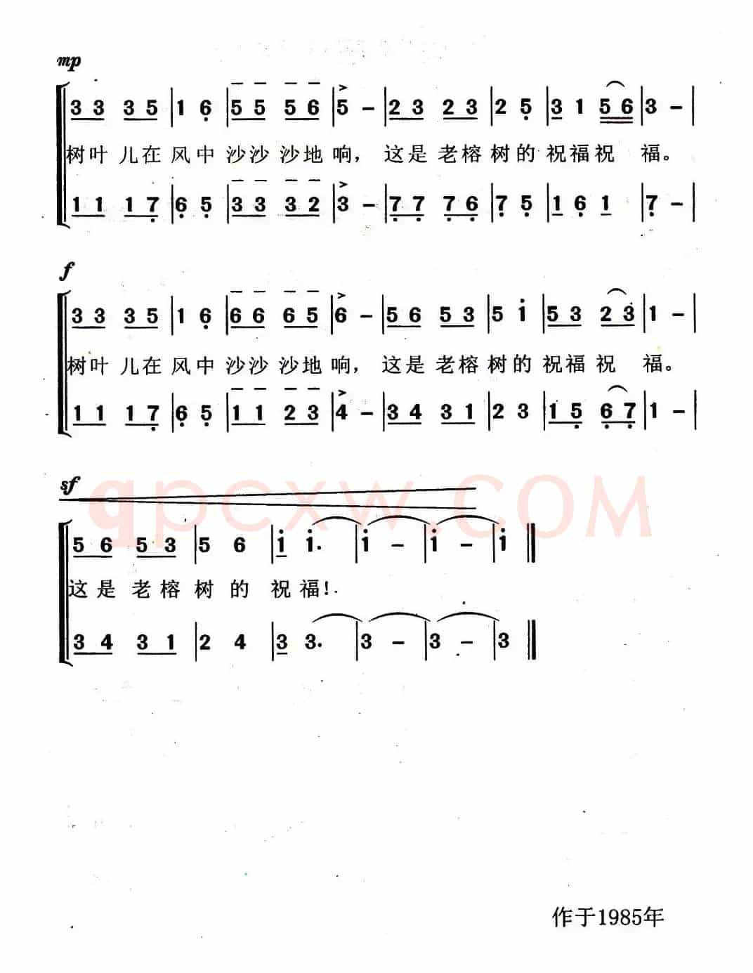 校园里的老榕树（合唱）