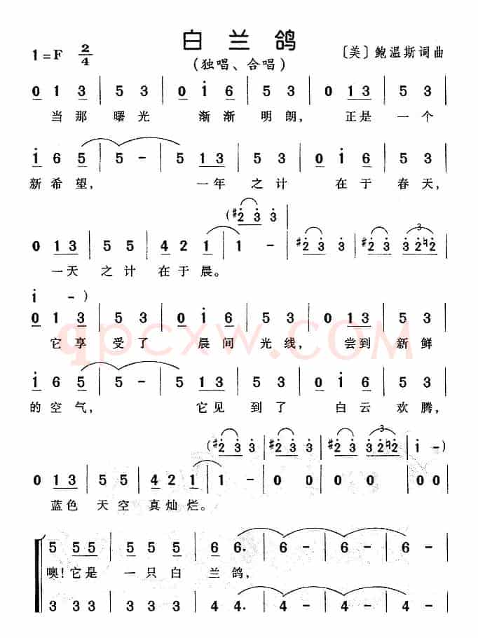 [美]白兰鸽