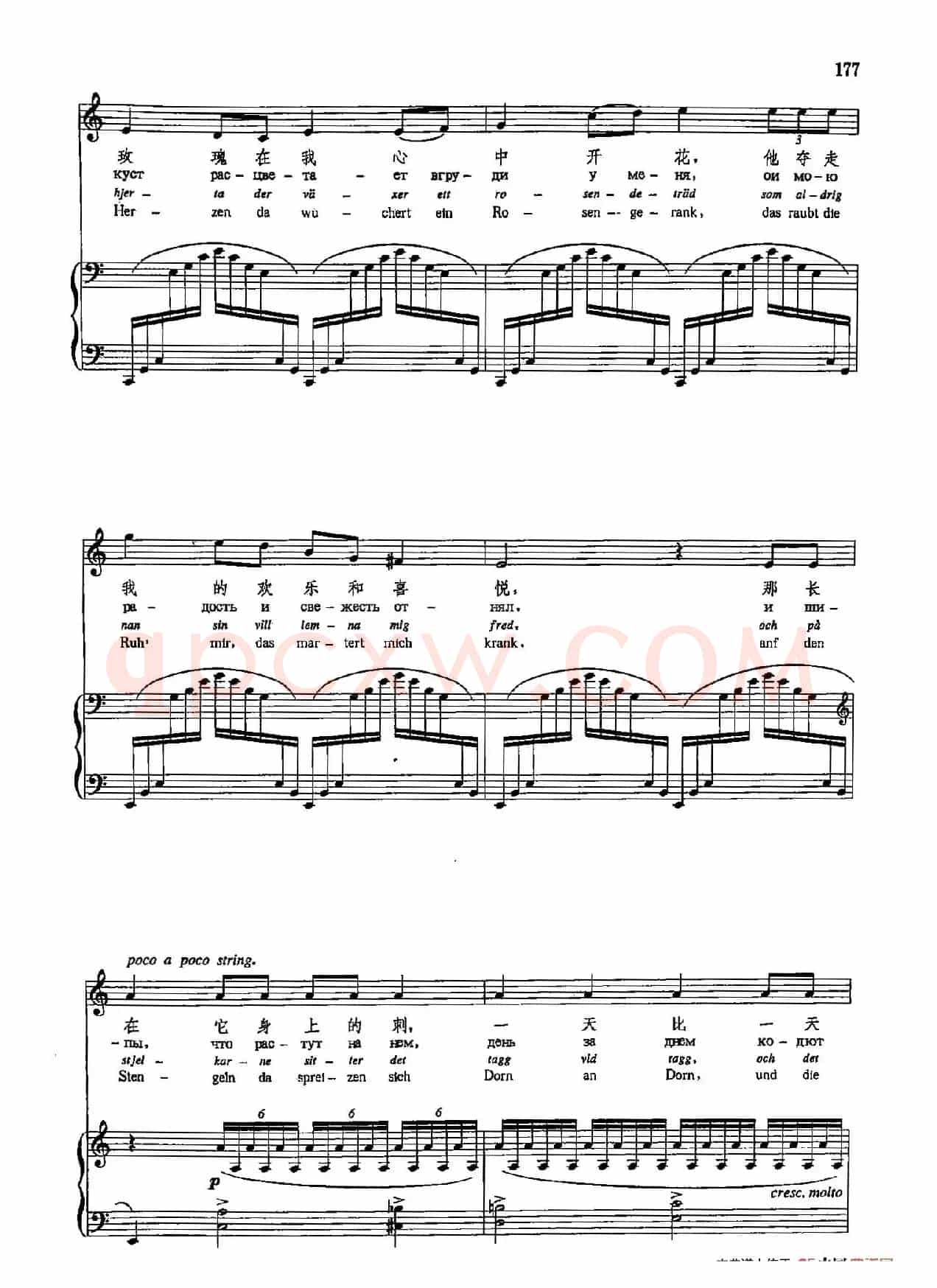 声乐教学曲库5-40黑色的玫瑰（正谱）