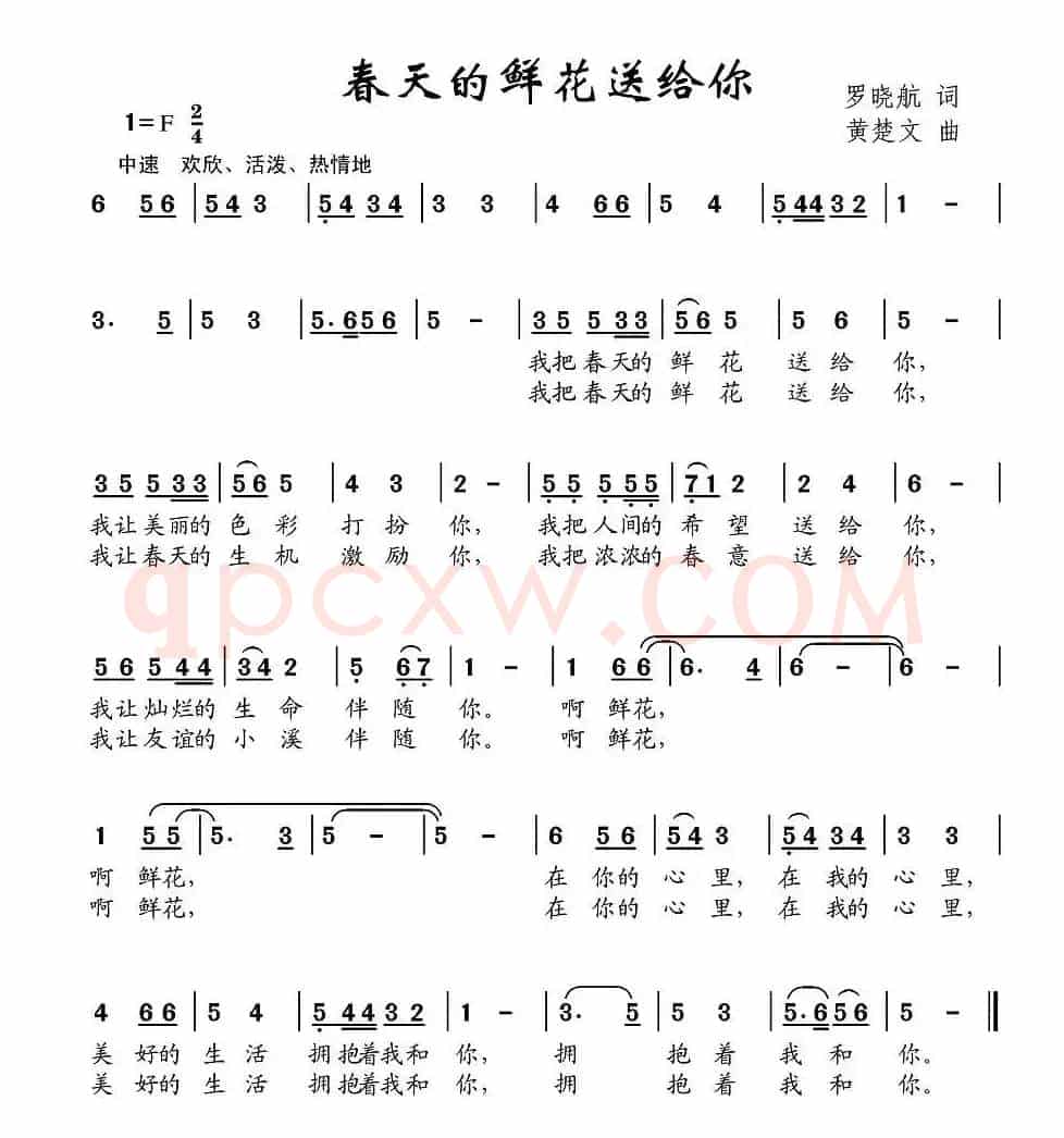春天的鲜花送给你