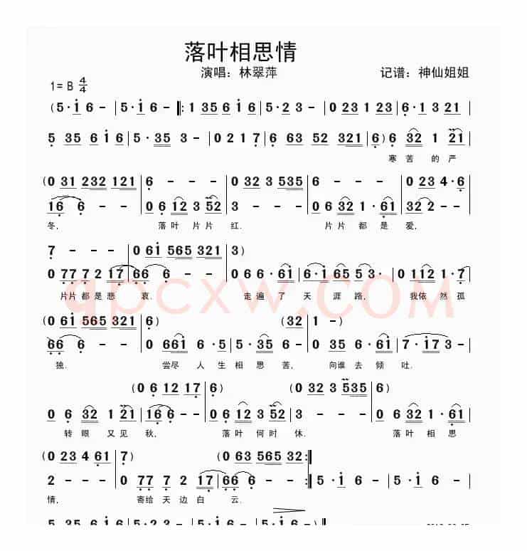 落叶相思情