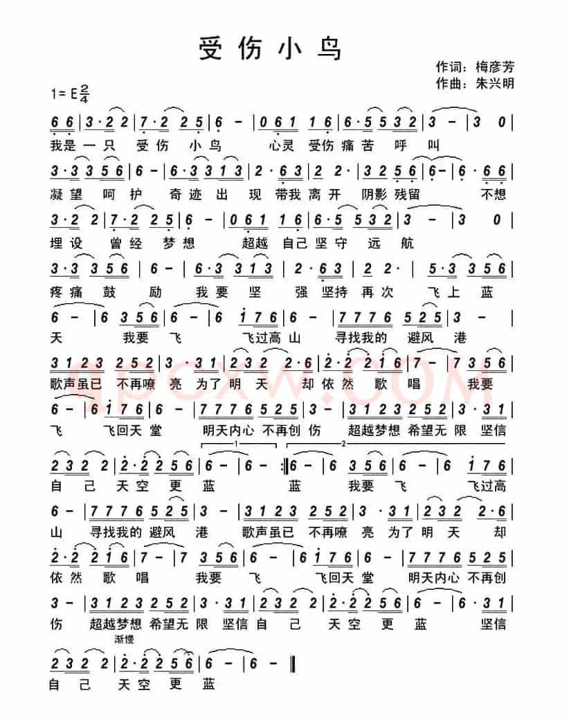 受伤小鸟