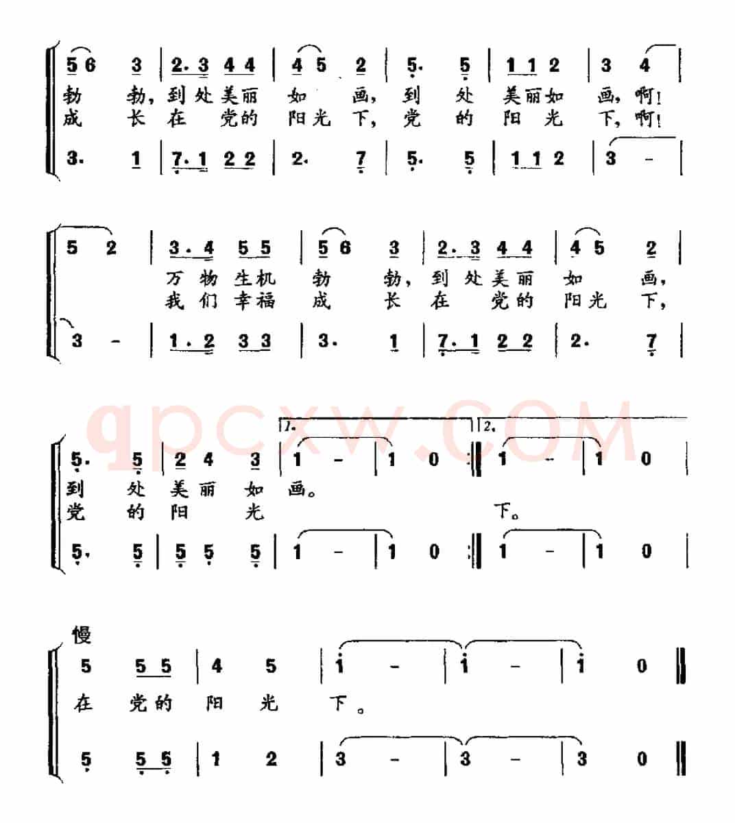 成长在党的阳光下