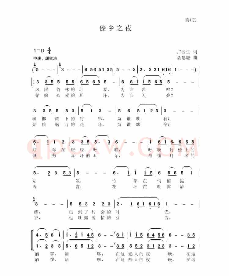 傣乡之夜