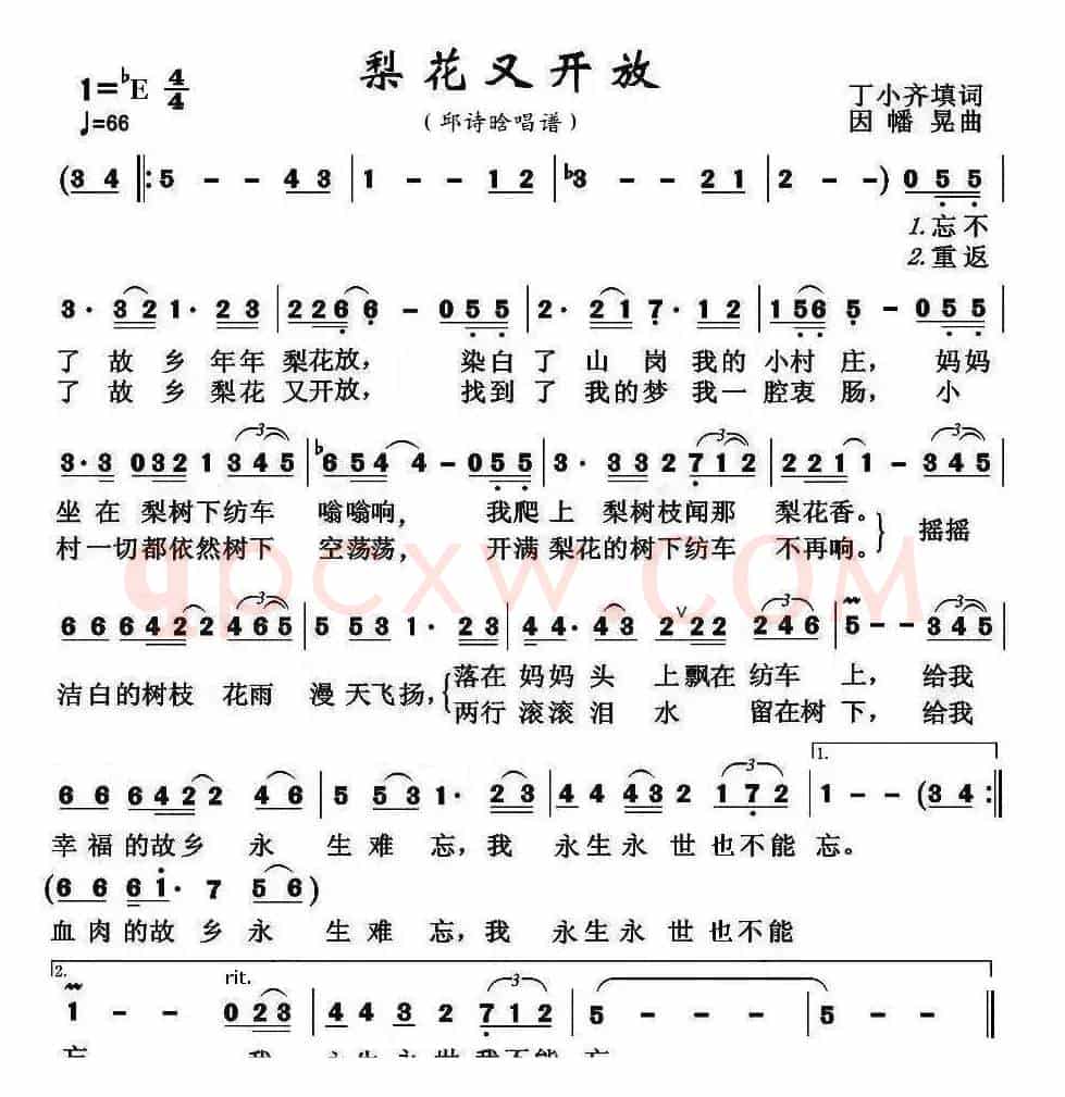 梨花又开放(邱诗晗)