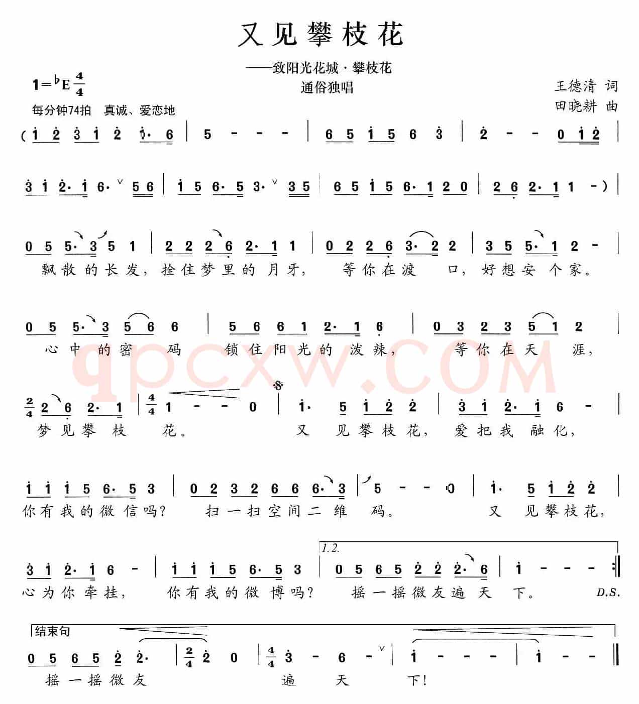 又见攀枝花