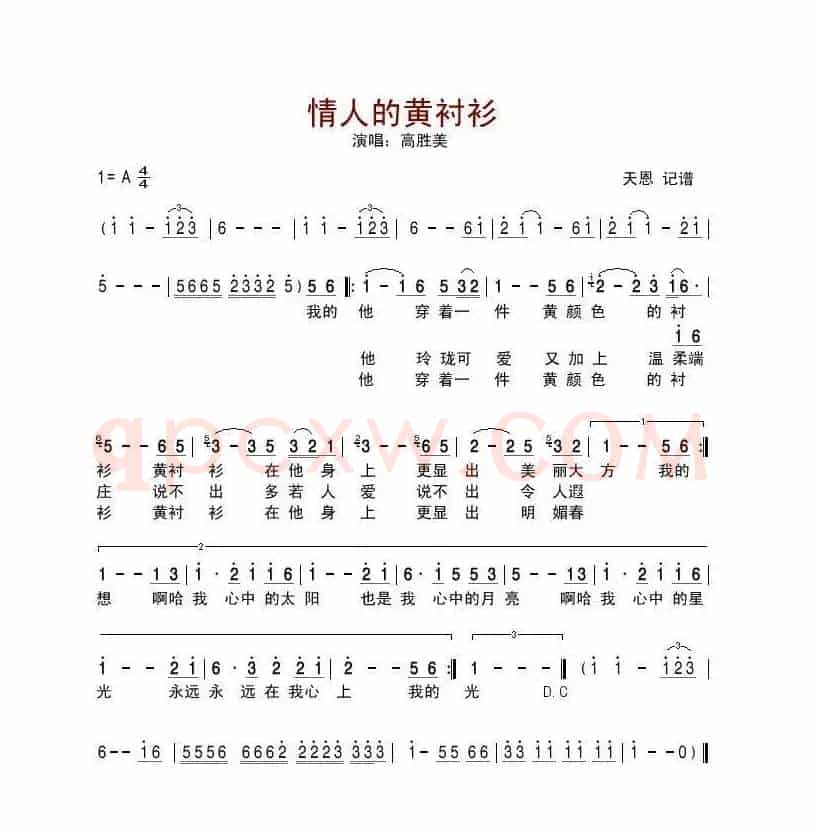情人的黄衬衫