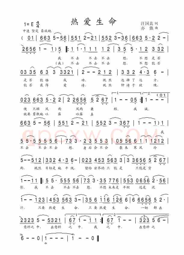 热爱生命（亦弛作品）