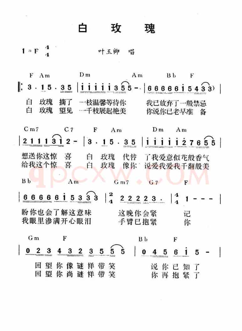 白玫瑰