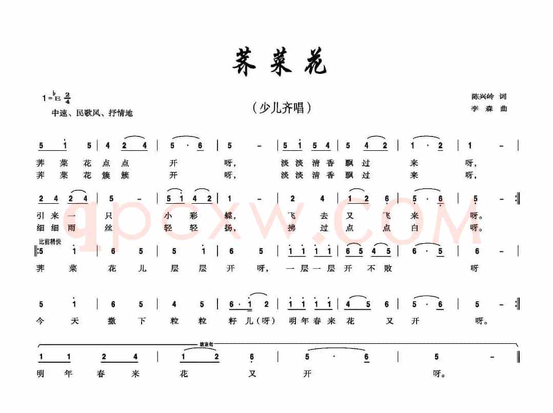 荠菜花