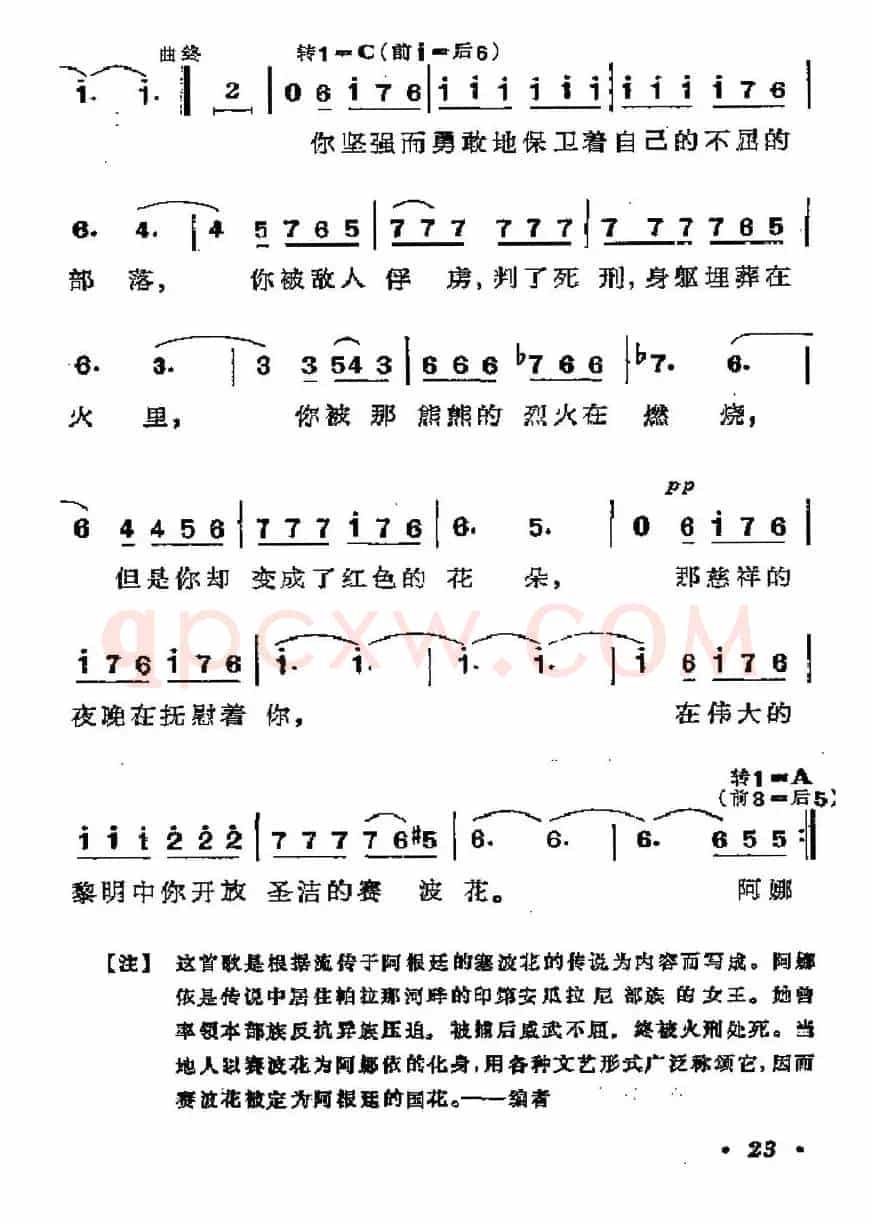 [阿根廷]阿娜依