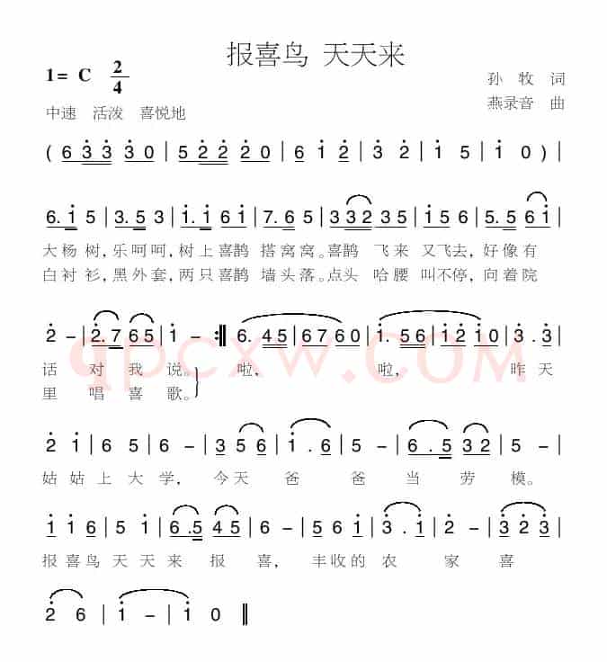 报喜鸟 天天来