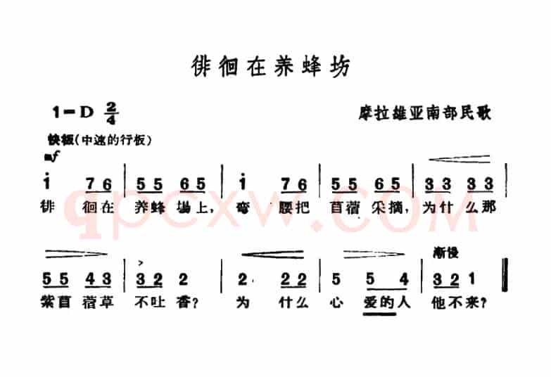 [捷]徘徊在养蜂场