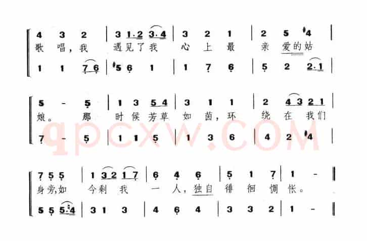 棽丛（英）
