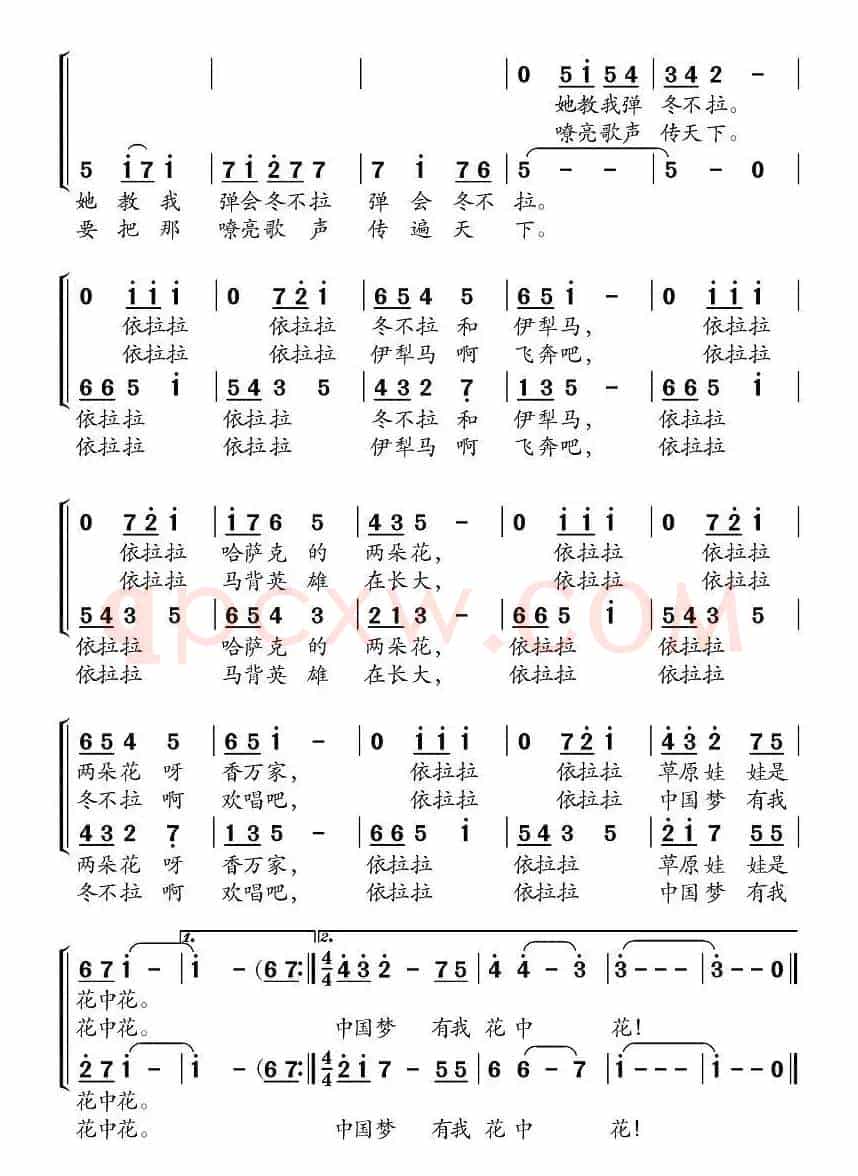 草原娃，花中花