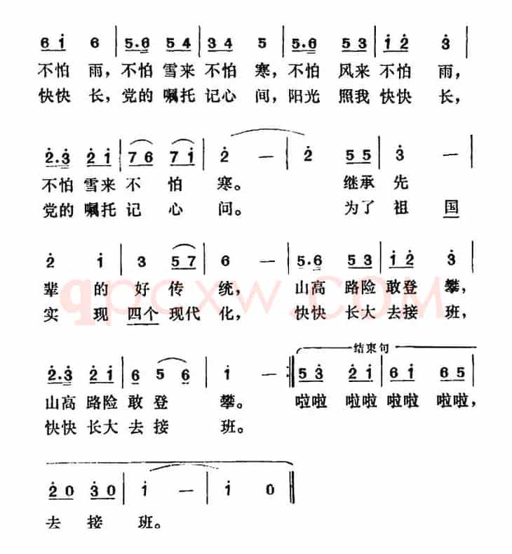我是一朵小雪莲