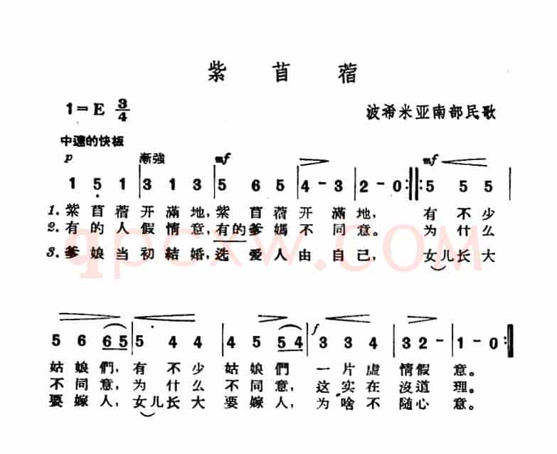 [捷]紫苜蓿