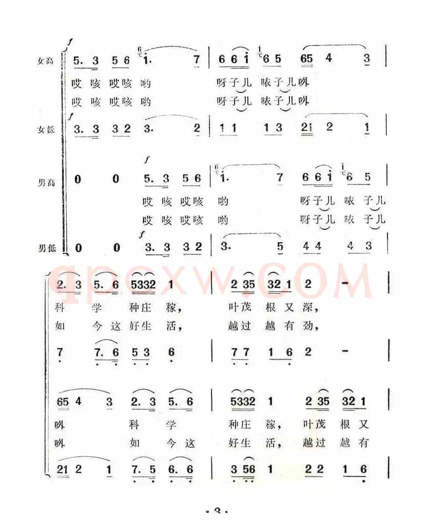 幸福的日子扎下根