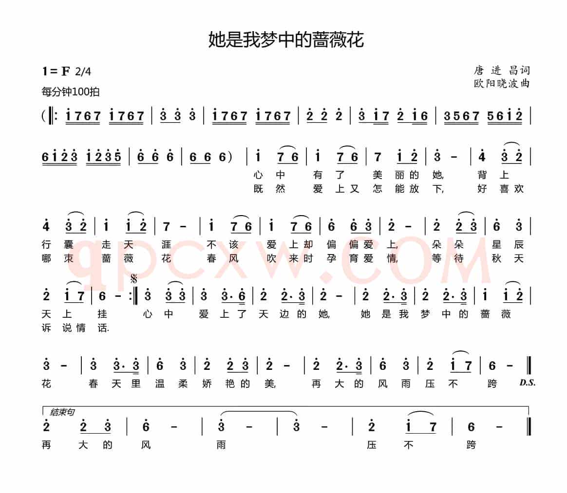 她是我梦中的啬薇花