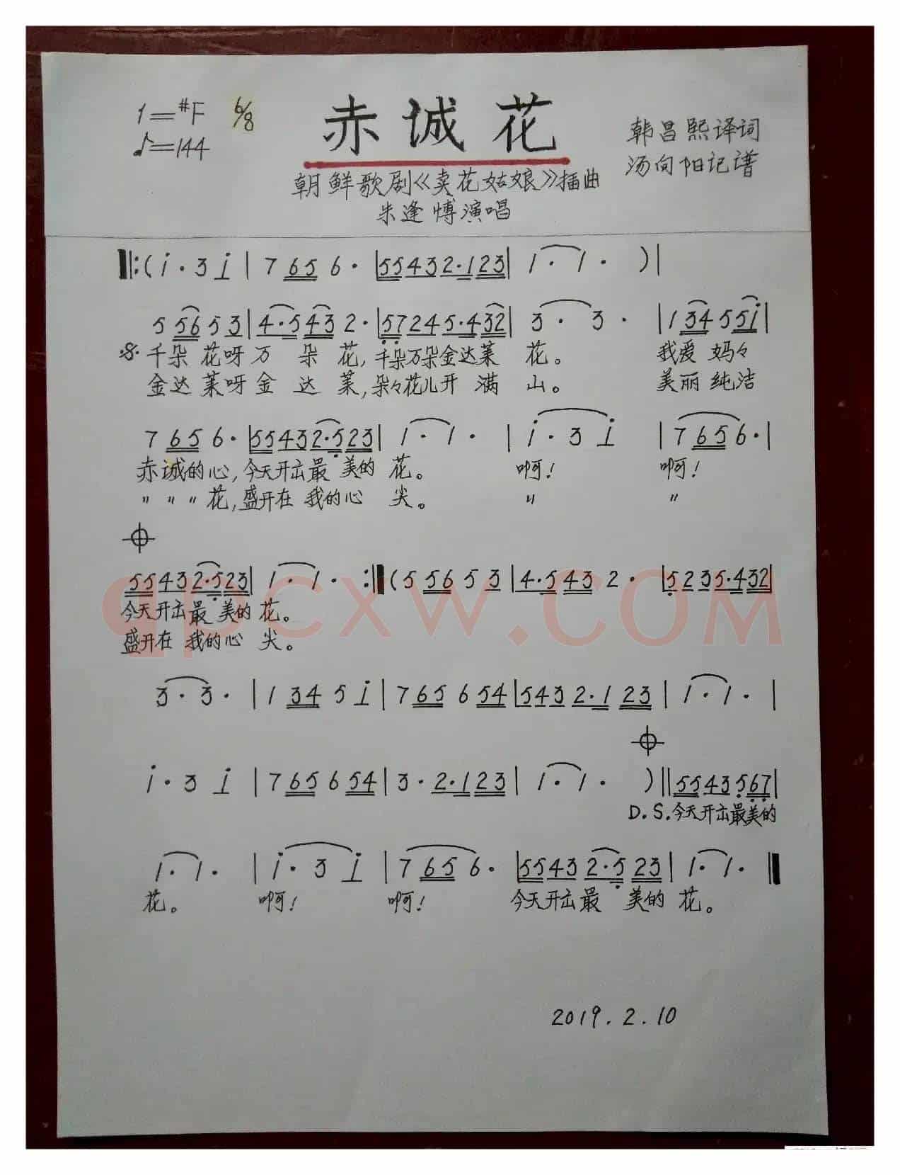 赤诚花