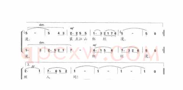 我们是钢铁女青年