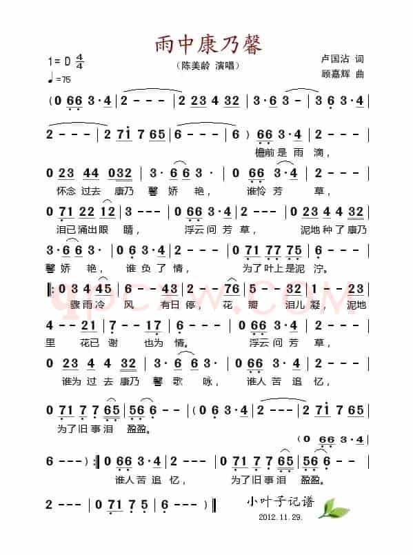 雨中康乃馨