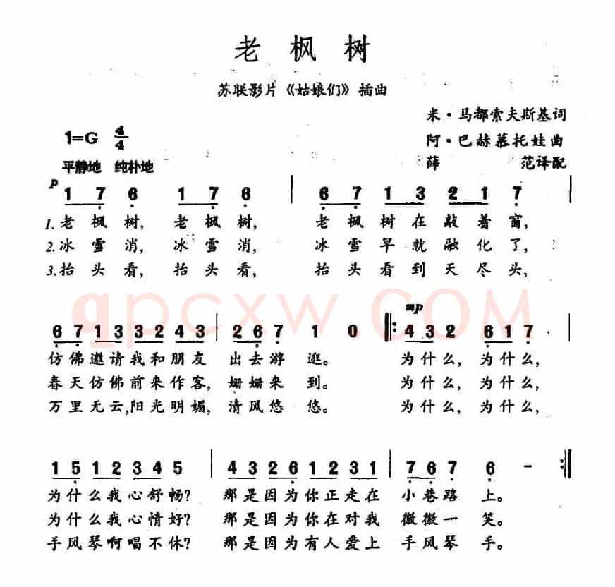 老枫树（俄）