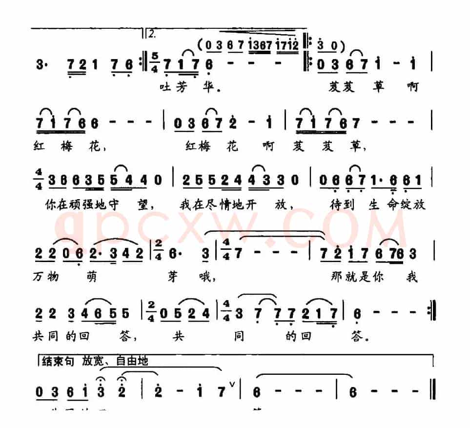 生命的绽放（林小异词 何山曲）