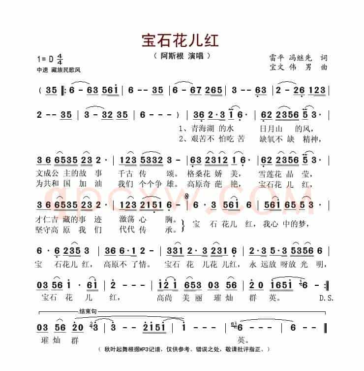 宝石花儿红