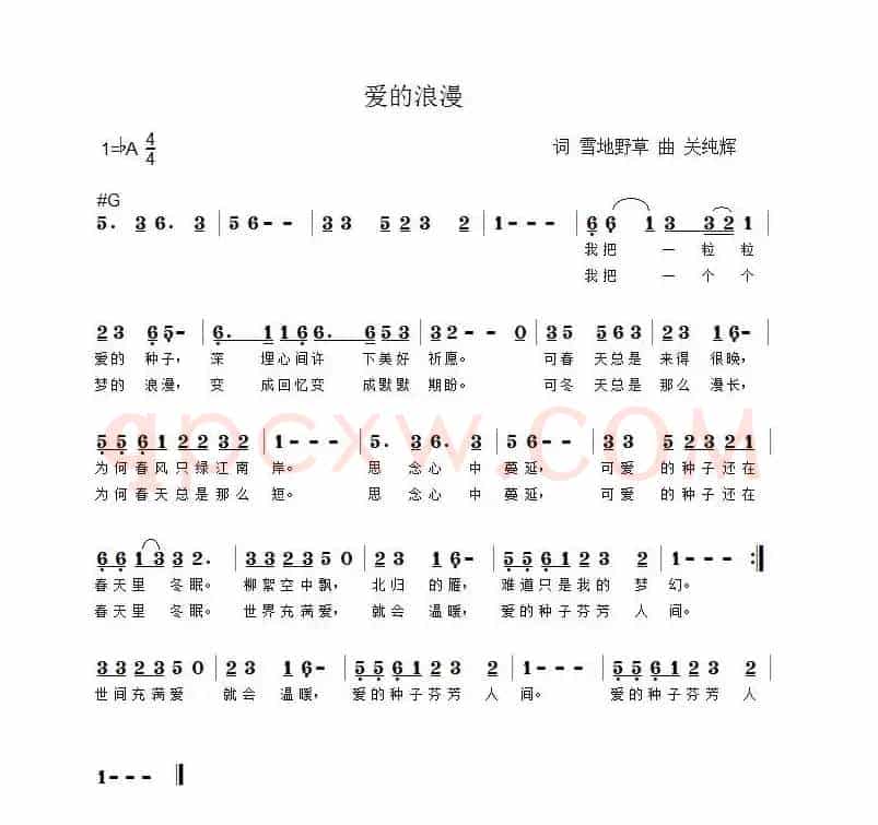 爱的浪漫