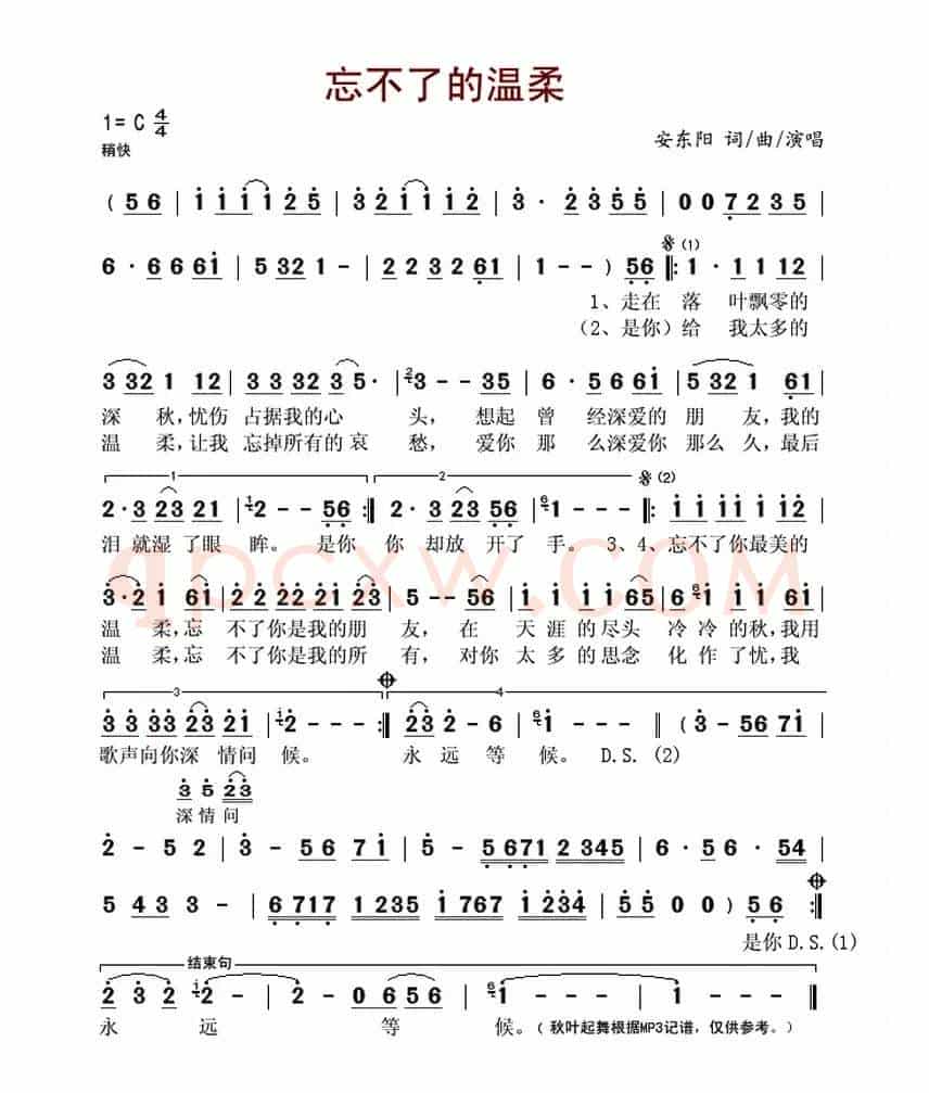 忘不了的温柔