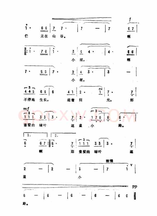 小树（电影《路边吉它队》插曲）