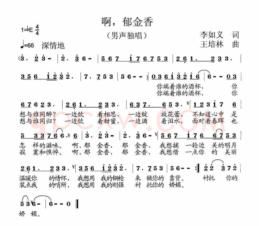 啊，郁金香