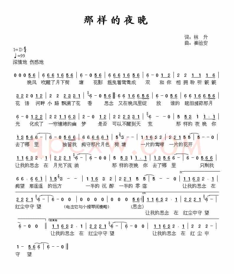 那样的夜晚