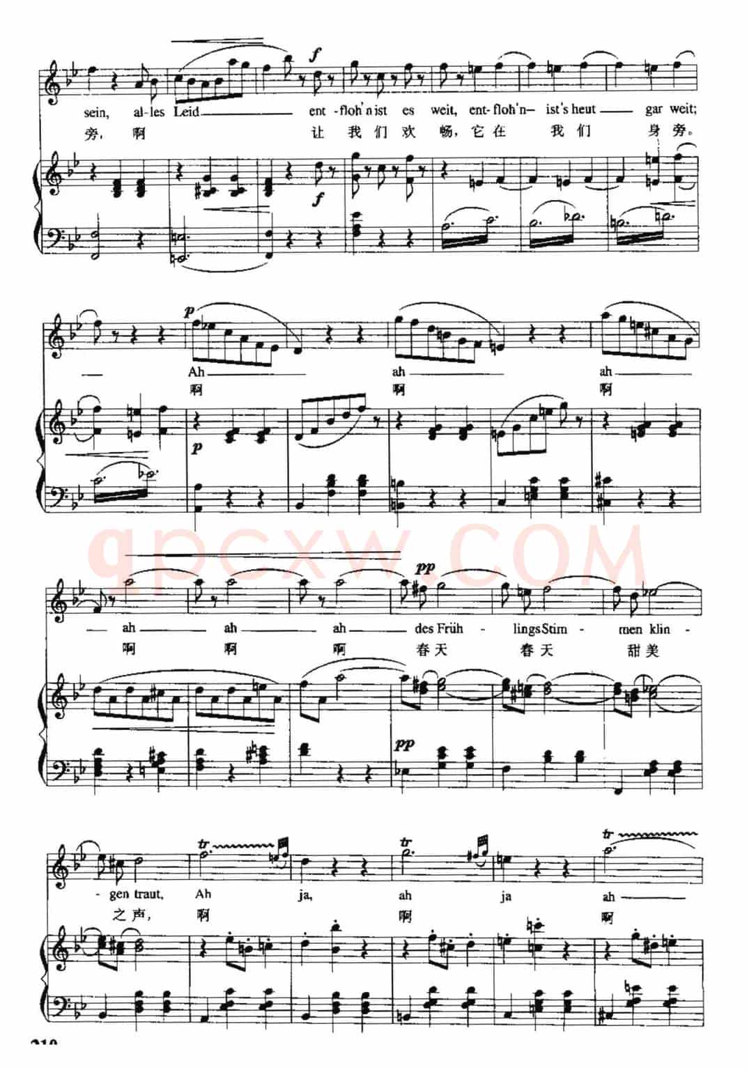 [奥]春之声圆舞曲（中外文对照、正谱）