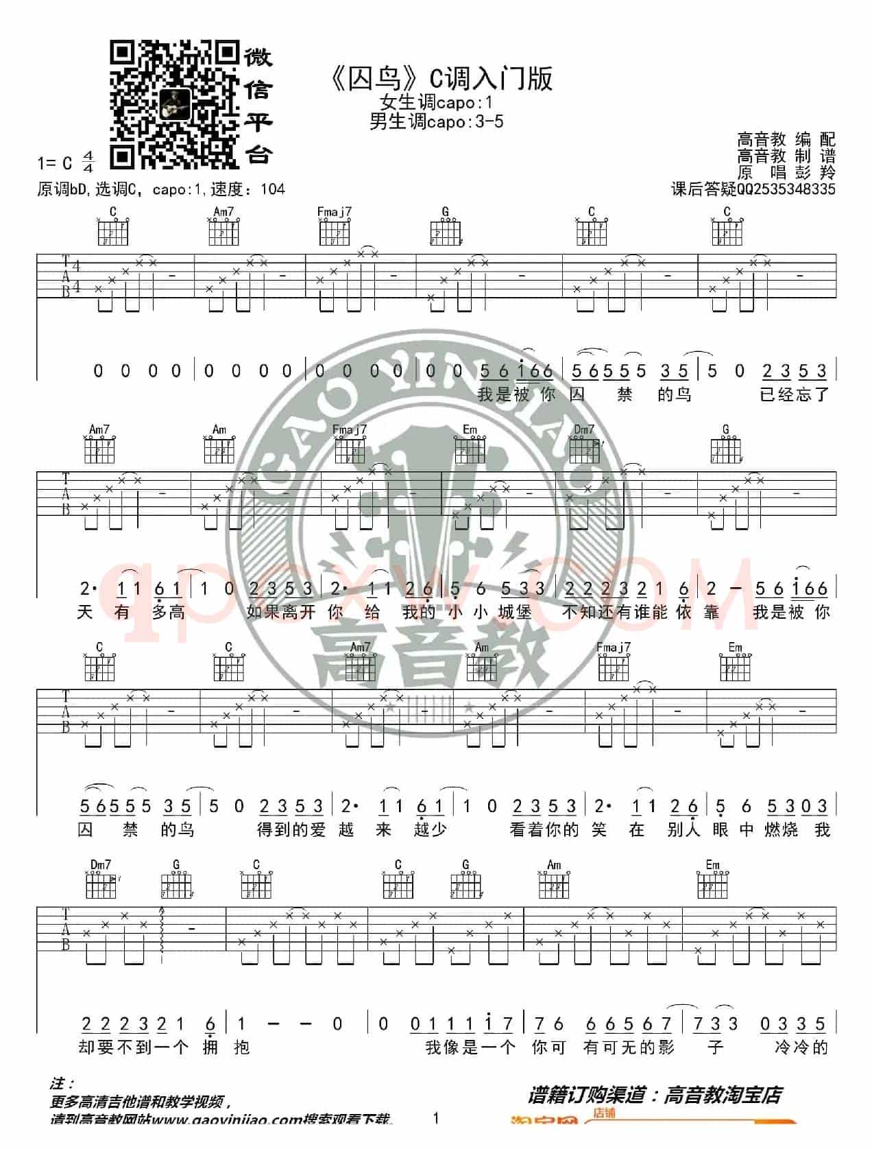 《囚鸟》吉他谱吉他弹唱教学C调入门版 高音教 