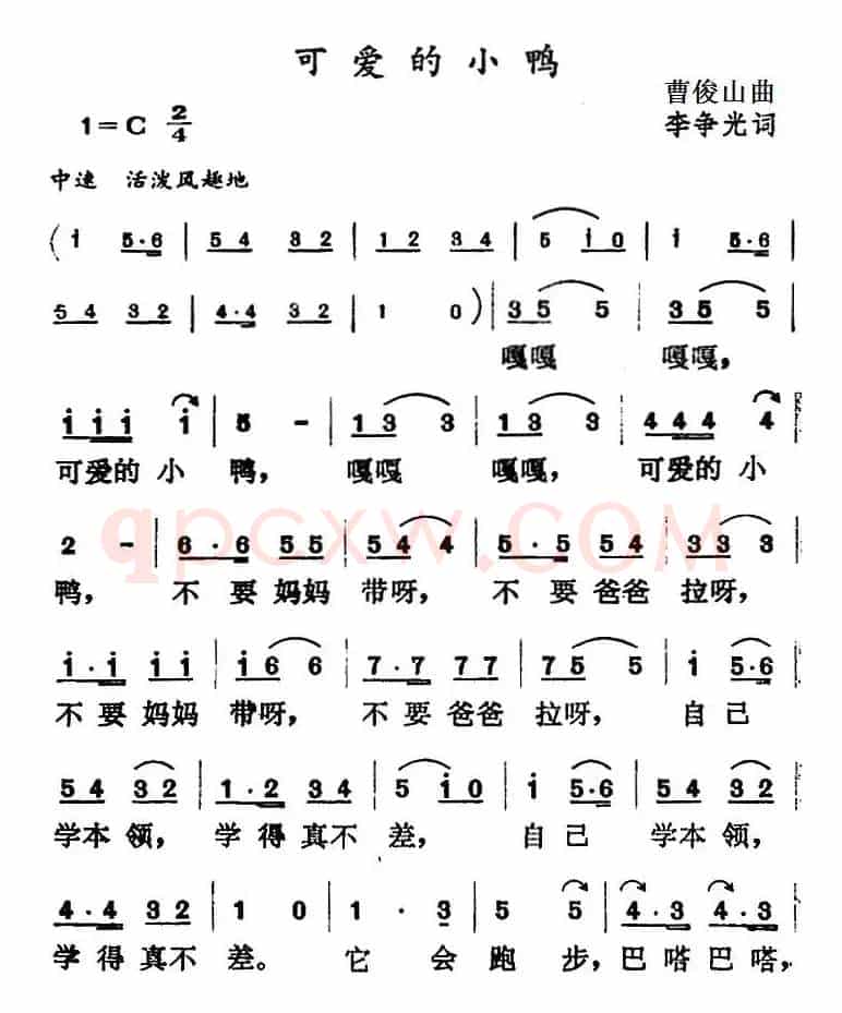 可爱的小鸭