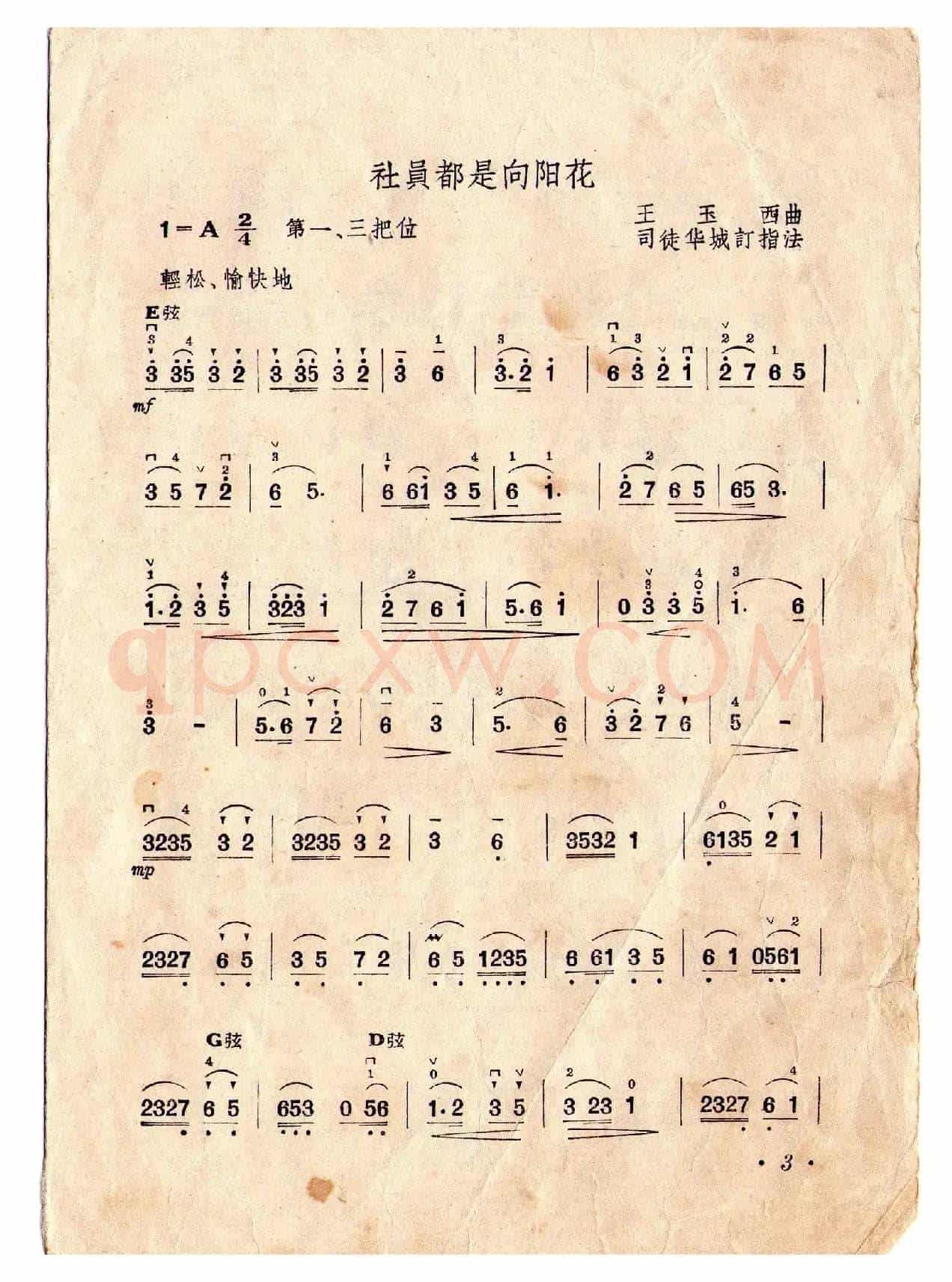 社员都是向阳花（小提琴独奏）