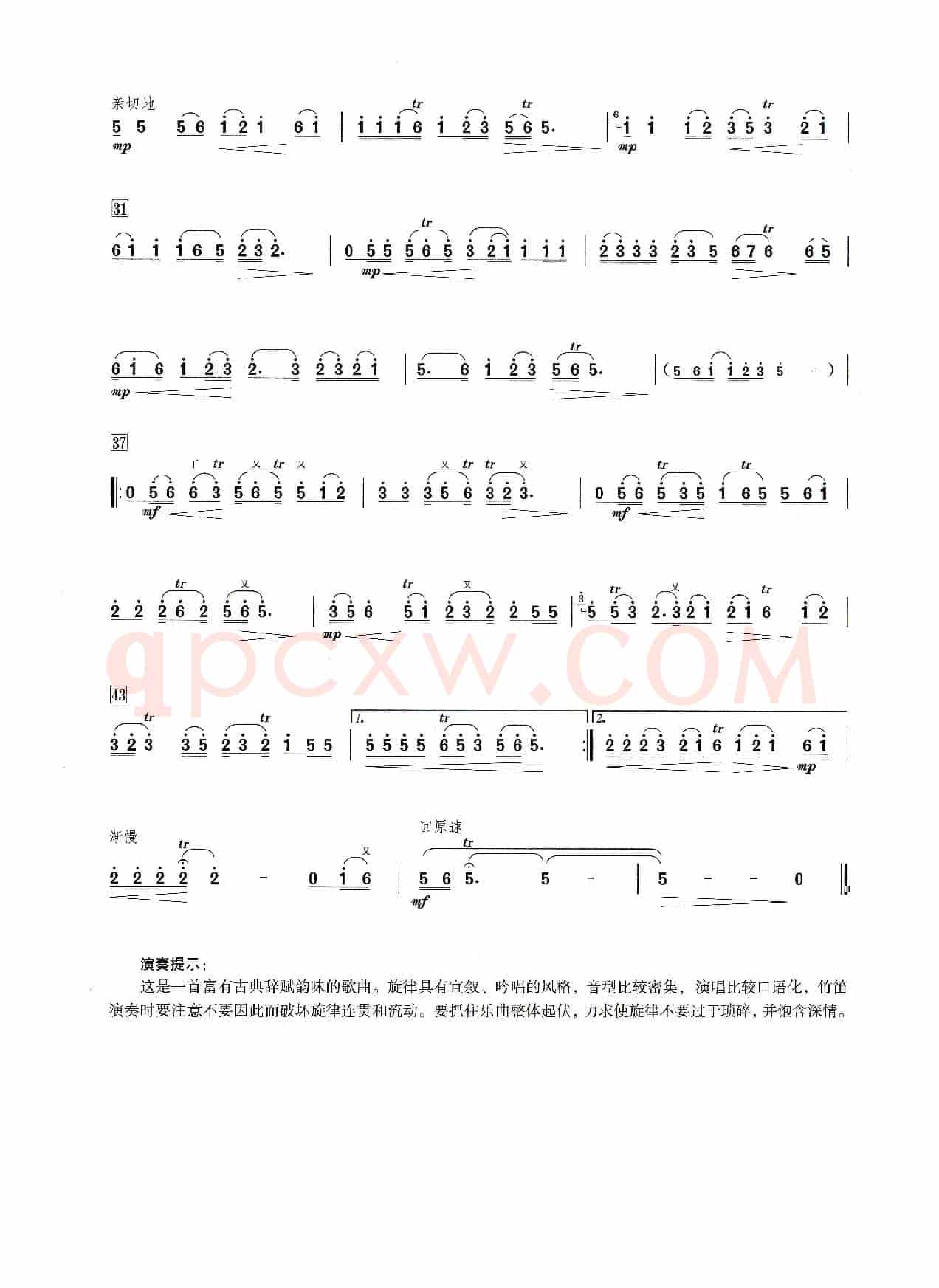 涛声依旧（笛子演奏提示版）