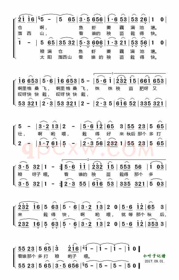 栽秧调