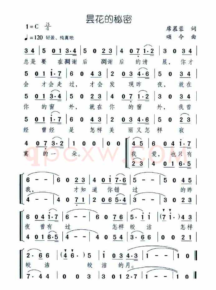 昙花的秘密