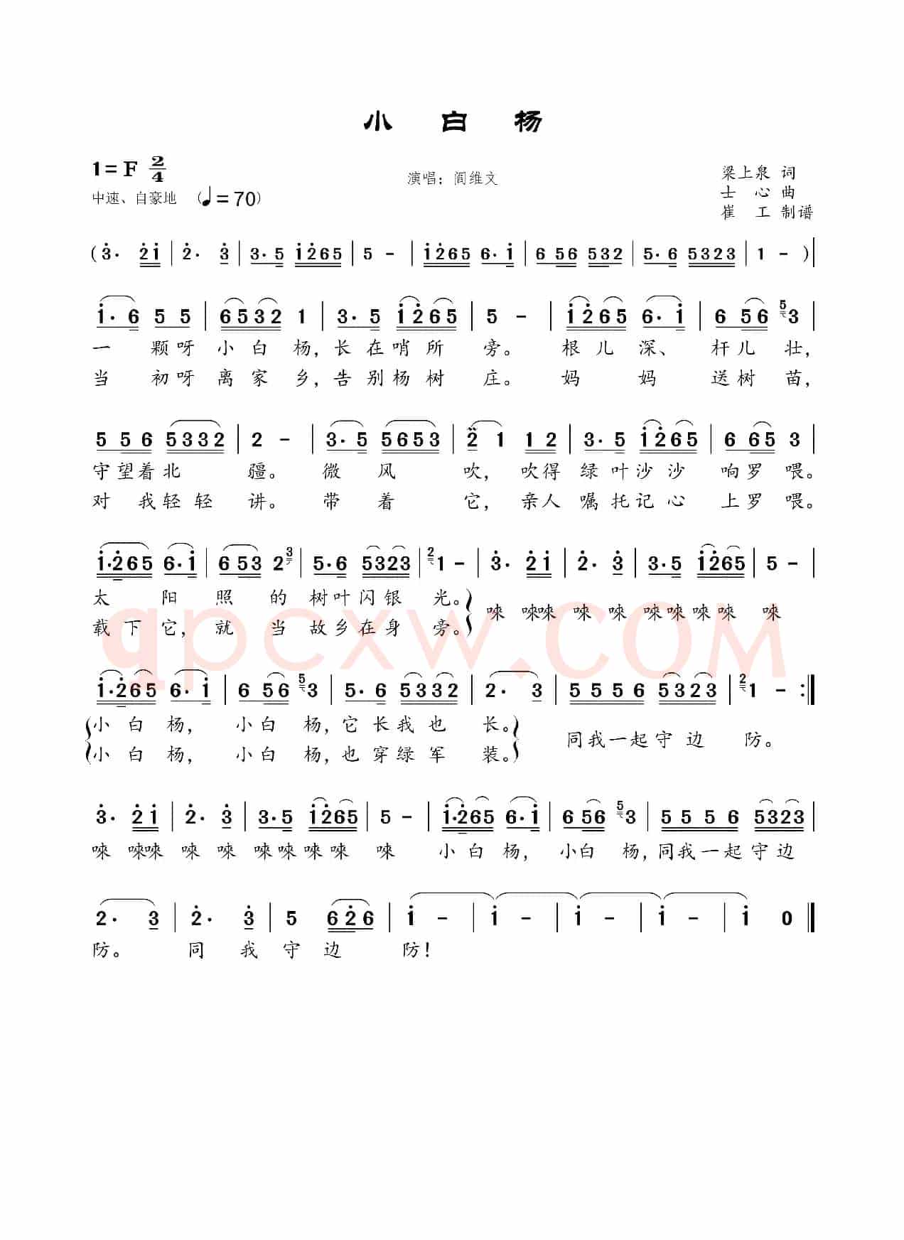 《小白杨》